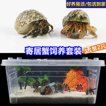 活体寄居蟹宠物饲养箱套装沙造景躲避屋水盆攀爬藤海盐螃蟹缸工厂