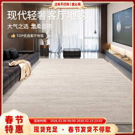 地毯客厅轻奢高级感耐脏易打理意式极简现代卧室沙发地垫防水防污