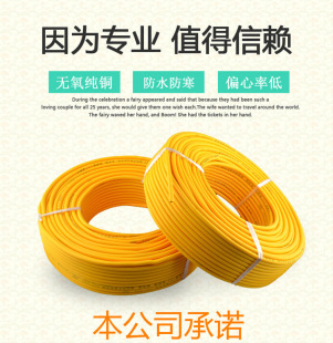 ���~�Դ��PVV������ˤ��ˮţ��늾��|��2.5ƽ/4ƽ���˃�о�o�׾�