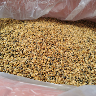 �P�c��t ���� ��ѿ�t�� ��ϵ�t�����l ���� ������ݴ� 50g