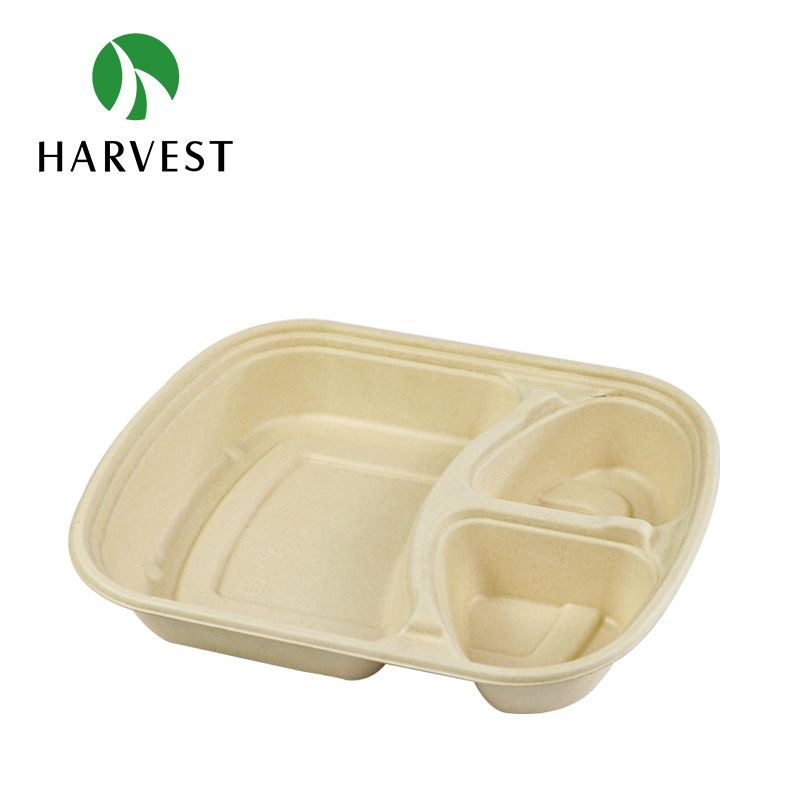 Degradable and Compostable Disposable Single-grid Double-grid Three-grid Color Sugarcane Pulp Bunch Box Environmental Friendly American Dining Box