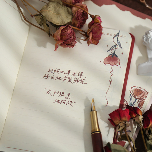 Mr. Paper hardcover hardcover rose epic series ins hand-painted rose illustration hand ledger diary notes
