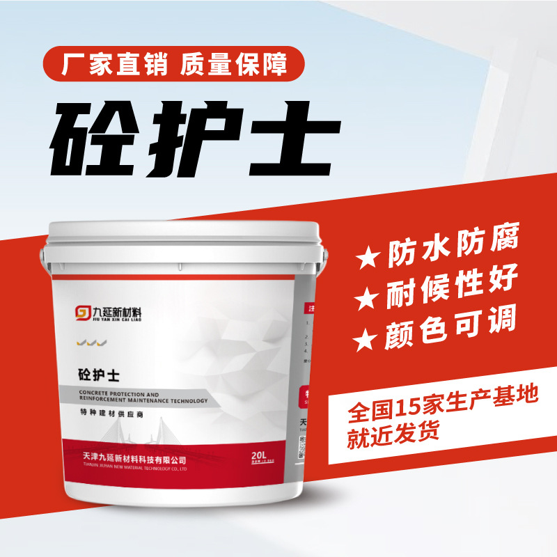 砼护士混凝土装饰性防腐涂料防水防碳化提高寿命颜色可调防渗