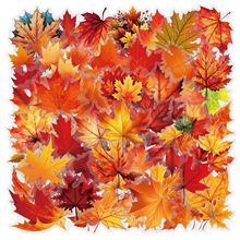 60张卡通枫树枫叶透明贴纸装饰手账文具水杯电脑防水贴画