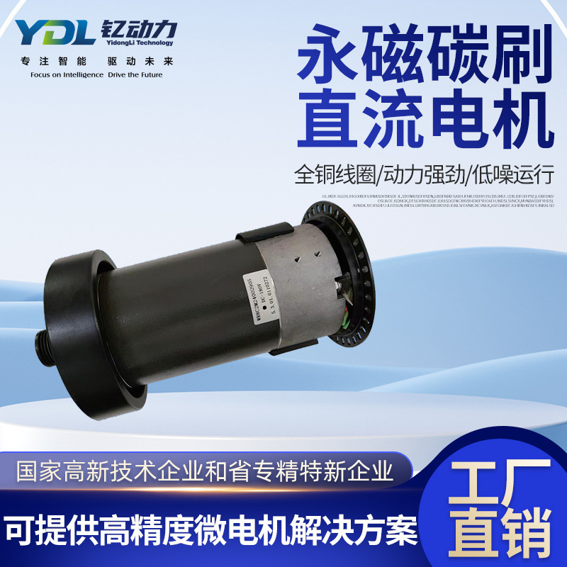 Permanent Magnet Carbon Brush Dc Motor Gym Treadmill Compatible with Micro Reduction Motor Treadmill Motor