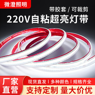 220v�߉�cob�􎧑����ˮ�컨���۸����Շ��o�w����������led���l