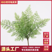 �����ָ�������ֲ��ܛ�z����پGֲܛ�b�쾰�����~���b�ާ��֦�l