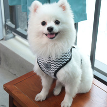 胸背带套装宠物狗绳子外出牵狗绳猫咪牵引绳小型犬透气遛狗绳批发