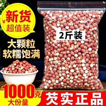 �͌�1000����؛�͌��׸�؛�u�^�͌������ؼ�޲��ɽș����ɏ���͌�