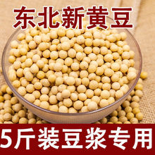 东北黄豆5斤农家自种黑龙江大豆子豆芽豆孕妇打豆浆专用直销批发