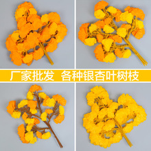 �����y���~��֦�b��Sɫ���~�����ϼٻ��ٗl�٘�ֲ��Gֲ�쾰