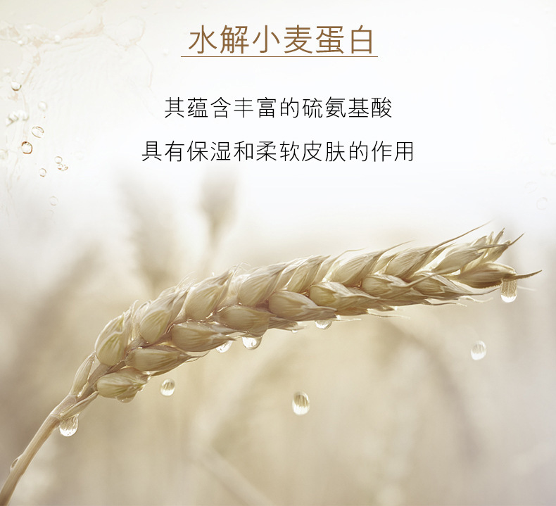 https://www.toonies.cn1.1二裂酵母修護美肌水(修改2)_05.jpg_800x800.jpg