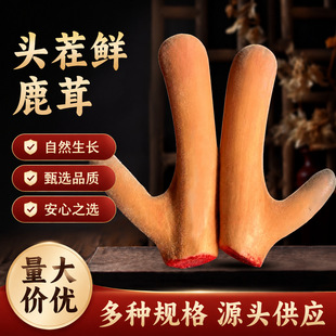 ¹��Ƭ���l¹��Ѫ¹���Ƭ����r��¹�lԴ�^�S����ș�������Ј�