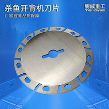 ���~�_���C��Ƭ 肺Ͻ��~���r���r���~�[��Ƭ �S�ҹ���