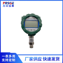 厂家供应智能精密数显压力表 高精度数字显示压力表 YS100数显压