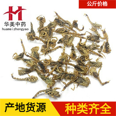 全蟲【華美中藥】中藥材現貨批發供應【全蠍】新貨1克 量大從優