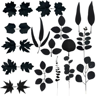 �羳�f�}����ɫ����õ���~�ȼ�������~ ����z�W���廨���