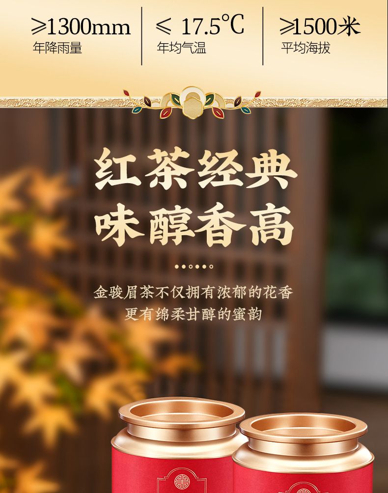 武夷紅茶特級金駿眉2025年新茶 自分で飲むための高級茶葉 ギフト