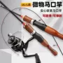 超细极细实心翘嘴马口