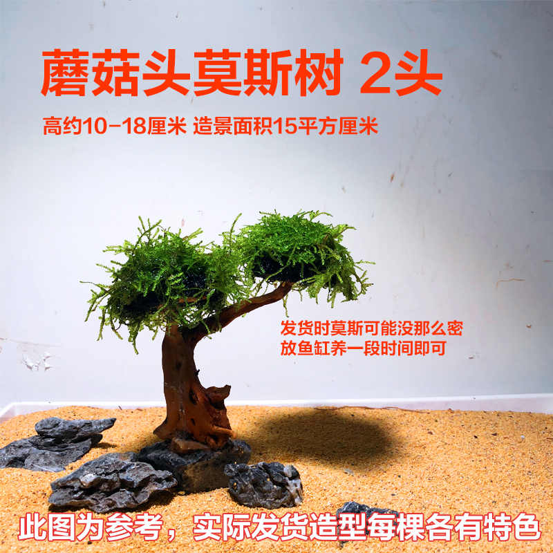 鱼缸造景莫斯树鱼缸树真树沉木水造景懒人造景无需底沙鱼缸摆件|undefined