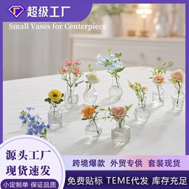 装饰花瓶;园艺灌溉工具;花盆装饰