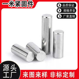304不锈钢圆柱销镀白锌固定销本色实心定位销轴承钢圆柱销子定做