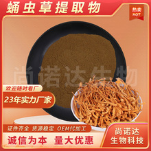 蛹虫草提取物10:1水溶蛹虫草粉食品原料批发虫草粉蛹虫草提取物