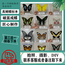 �����˱�������˱����x�˱������Ĕz����DIV�W���̌W͸�������b