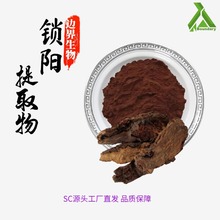 锁阳提取物10:1-100:1多规格水溶锁阳粉SC生产工厂直发现货供应