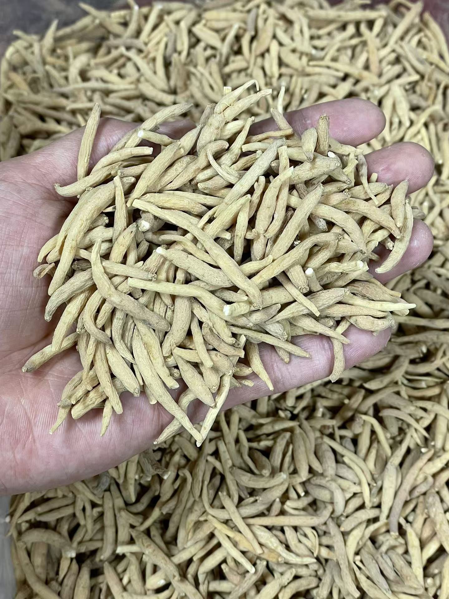 Dried Tai Zi Shen Root Slices Bulk 250g孩儿参 Large Grade Fujian Origin quality and texture