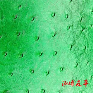 ����ţƤ����ƤƤ�� �r�B�y �T����pɫ�L��