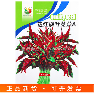 �r֮�ӻ��t���~�{��A������~�t�h���r�Ҹ߮a�ļ��߲��̨���Բ�