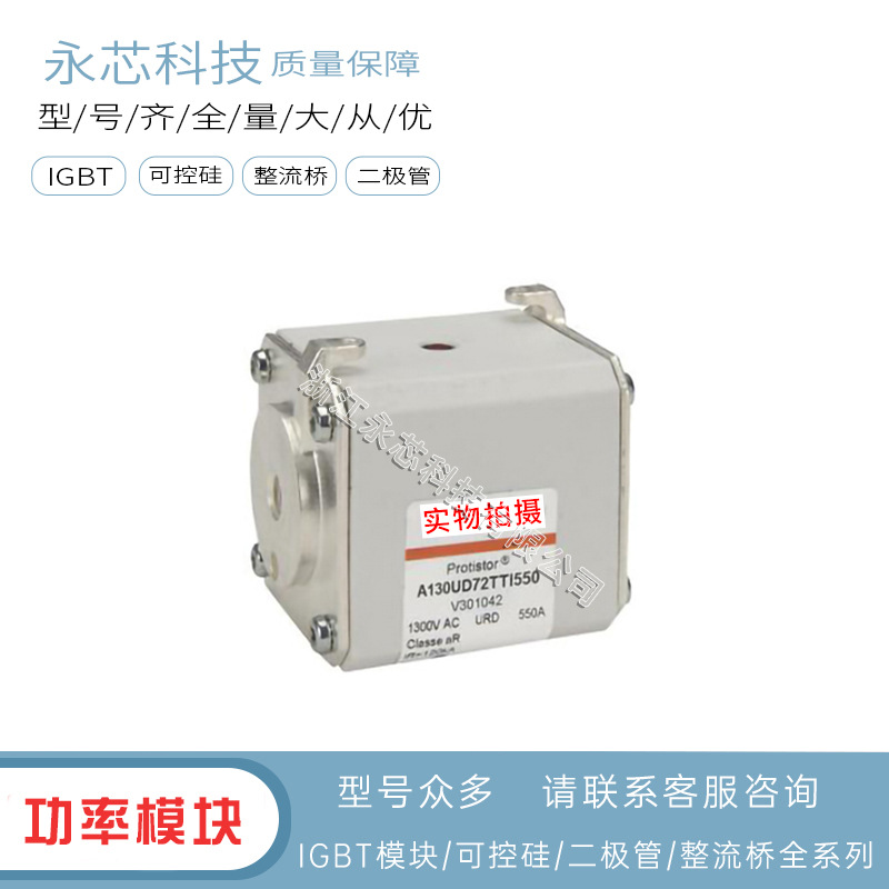 原装进口A130UD73LI700 	J300687全新现货双连体熔断器快速保险丝