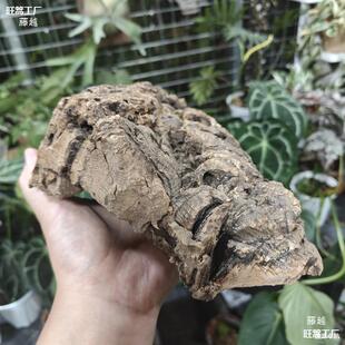 ������ܛľ ¹��ާʯ�����m�����m��ֲ��Ȼ��Ƥ ���������쾰����