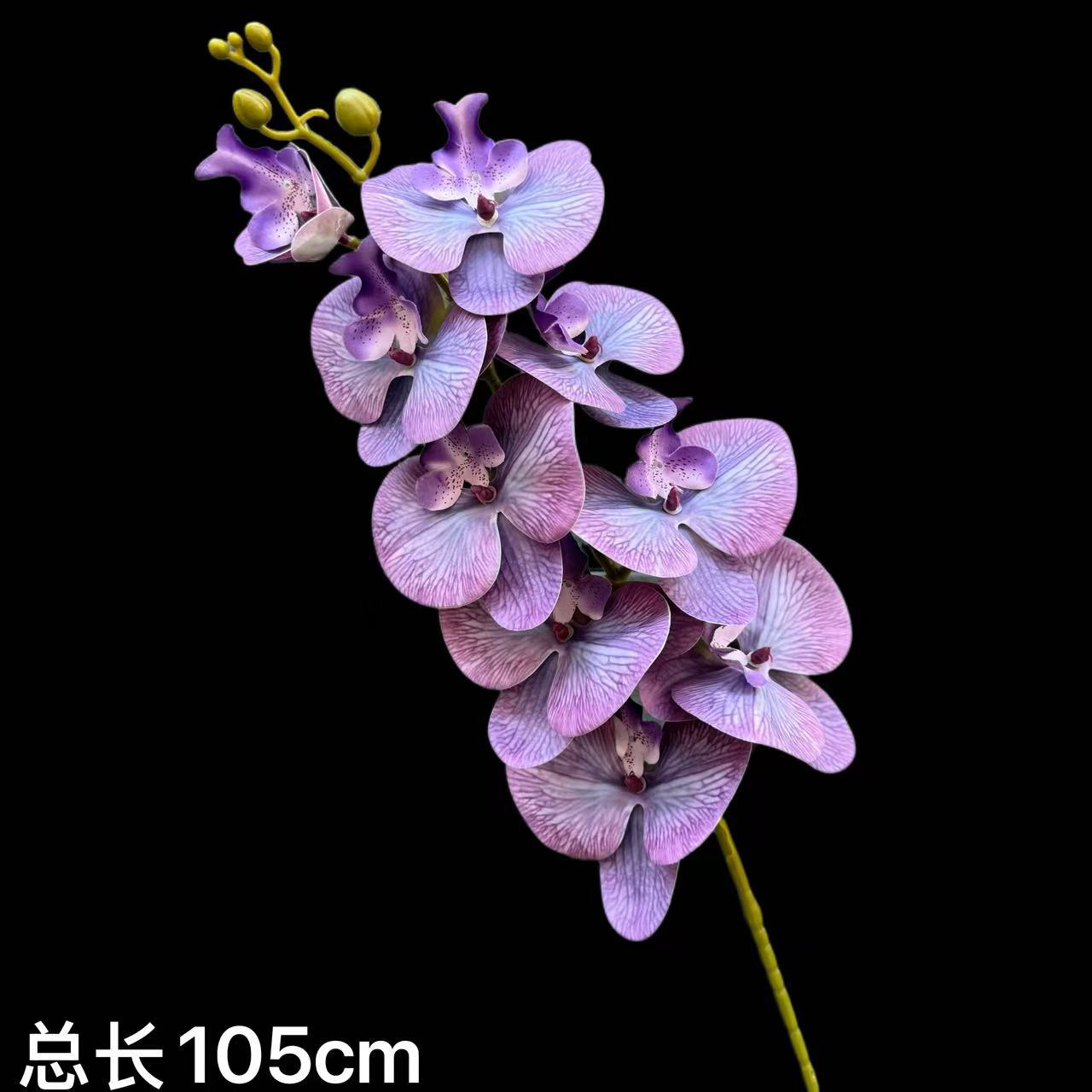 연기 보라색