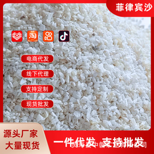 Hermit Crab Special Sand Natural Pad Material Coral Sand Philippine Sand Landscape Original Shell Sand Three Lakes Ci Carving Base Sand