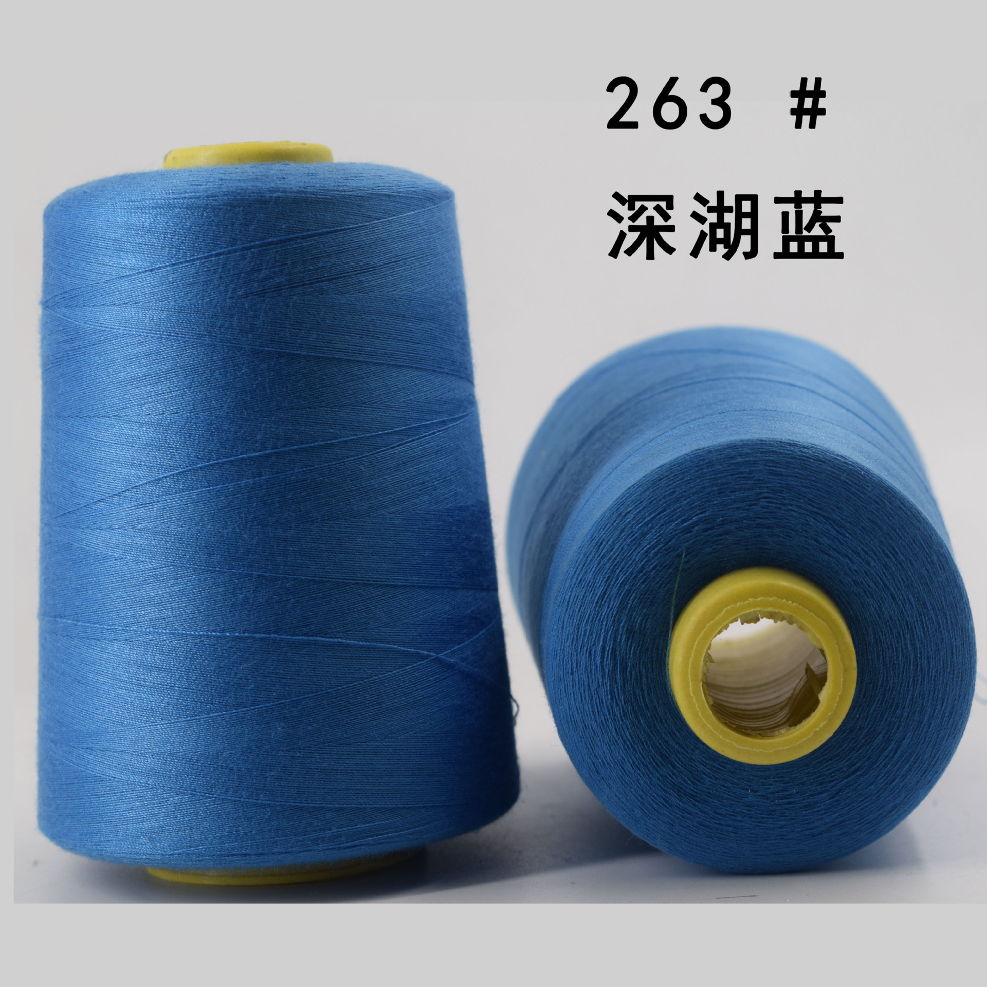 263 # 딥 레이크 블루 8000 코드 220g