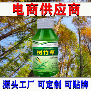 ����ݠ�����n�����r����Ч���ЙC��