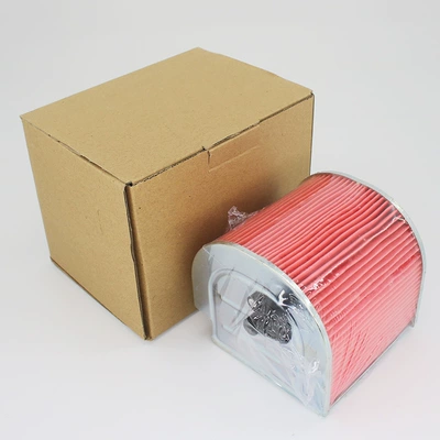 CA250 Super Light Prince Air filter