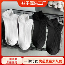 �T���m����Ů���Ć�ᘰ�ɫ�ļ���Ͳ�m����͸��W�t������H���m