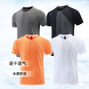 summer Explosive money Easy motion leisure time Quick drying jacket T-shirt Thermal transfer Borneol ventilation Bodybuilding Short sleeved