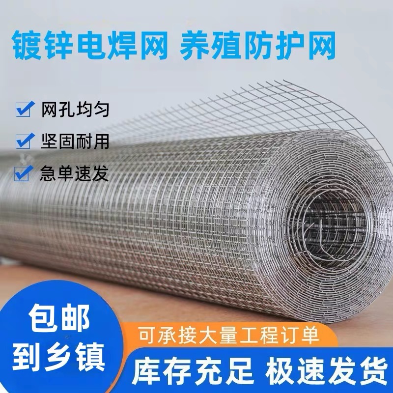 现货热镀锌电焊网钢丝网片铁丝网抹灰网抹墙网养殖防护网