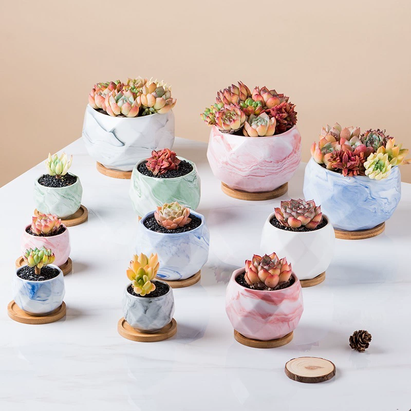 Творческий мясистый зеленый керамический цветочный горшок с поддоном столешница крытый горшок большой дырчатый дышащий мясной горшок цветочный горшок