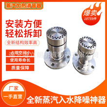 立朗DDS-A-50 蒸汽加热水消音器 热水箱喷射式汽水混合消声加热器