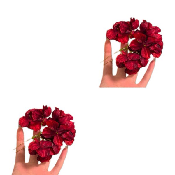 Red Chinese hairpin