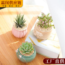 ����ֲ��M�����Ժ��B��¶����ֲ�ﺬ���莧���k��������Gֲ����