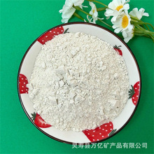 �S�����l�џ����X�\�� �T��T����80�X�\�� �մ��ͻ����X�\����