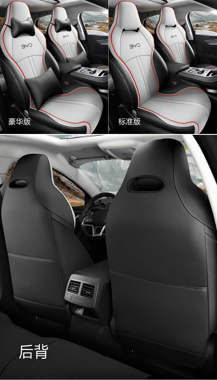 Special Byd Destroyer 05 Seat Cover 2024 Honor Edition 25 Four Seasons All-Inclusive Car Seat Cushion 23 Seat Cover