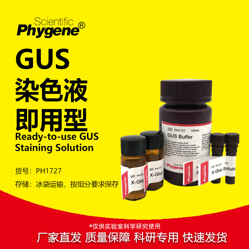 GUS染色液 即用型 GUS Staining Solution 50mL [PH1727 PHYGENE]