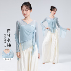 女性用古典舞踊練習服、新作蓮の葉水袖、中国舞踊服、女性用エレガントボディパフォーマンス服